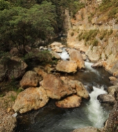 Karangahaka gorge