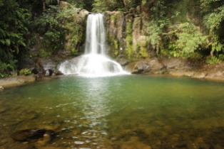 Waiau falls