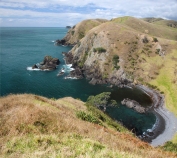 New Zealand 2014_3324 Muriwai walk coastline panorama