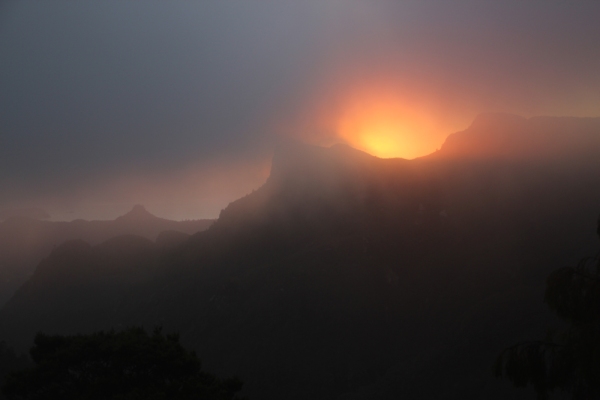 Sunrise through the fog