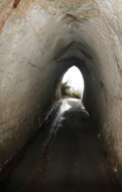 Waikawau tunnel