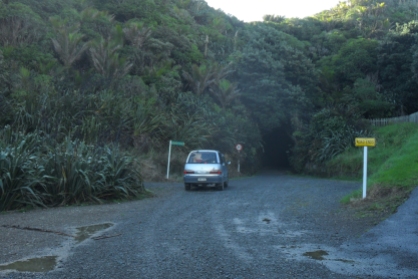 Waikawau tunnel