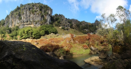 Mangaohoe Stream gorge